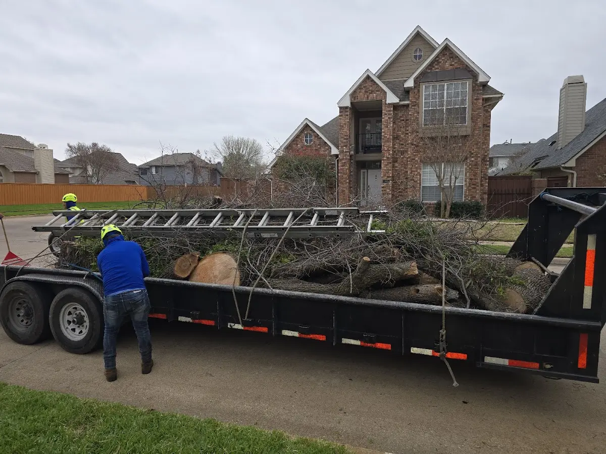Expert Lot Clearing with proper safety equipment in Monarch